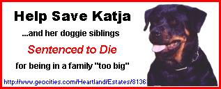 Save Katja