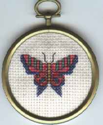 Butterfly in gold frame